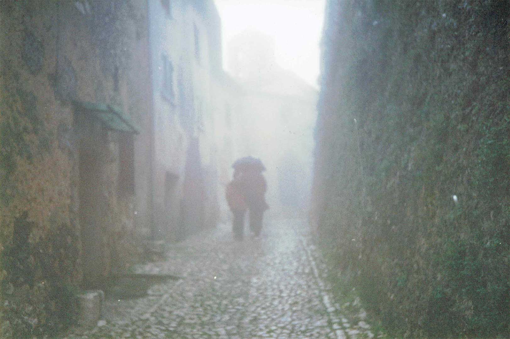 O Rei Do Gado Luiz Fernando Carvalho
