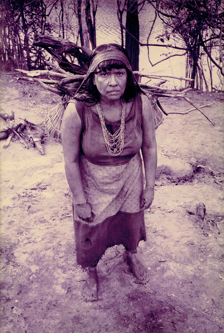 O Rei Do Gado Luiz Fernando Carvalho